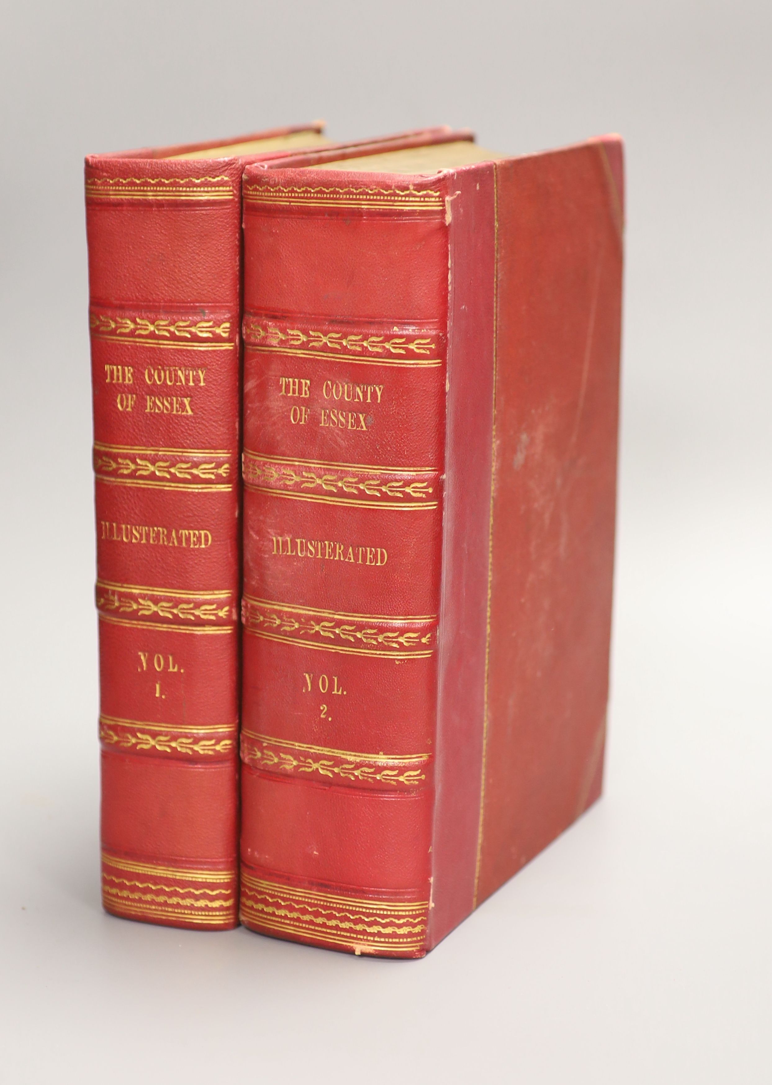 Wright, Thomas - The History and Topography of the County of Essex, 2 vols, pictorial and printed titles, 99 engraved plates and folded map, subscibers list; later 19th century gilt red half morocco and cloth with panell